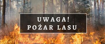 Ponad 3 tys. pożarów lasów w Polsce od początku 2022 r. Ile w pow. lublinieckim?
