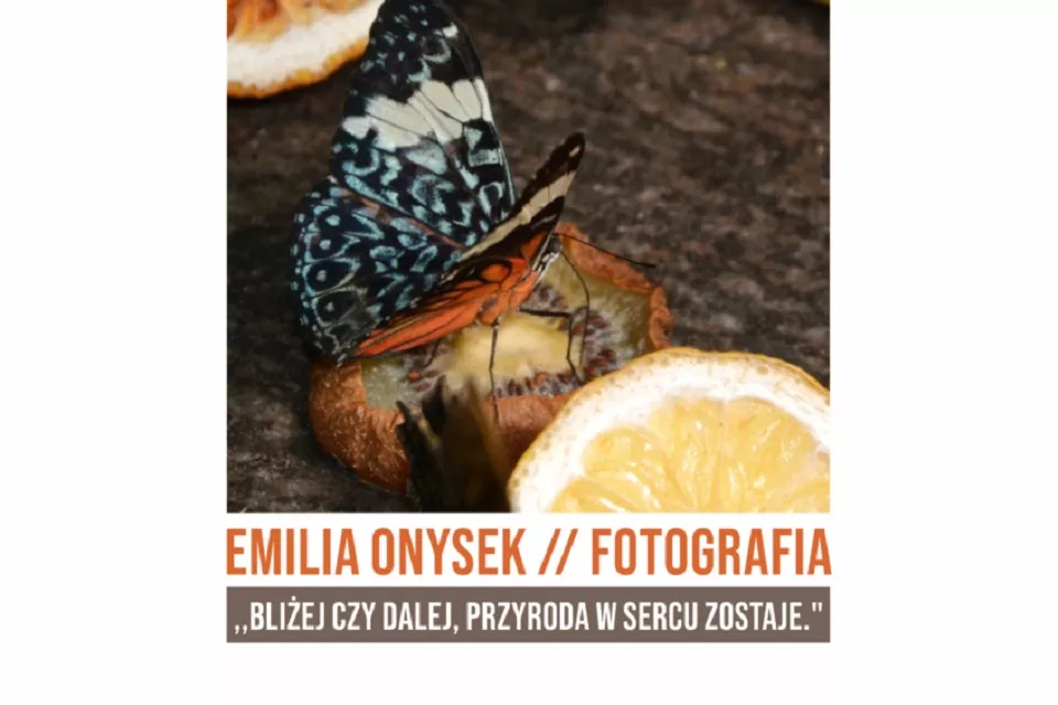 Wystawa fotografii Emilii Onysek