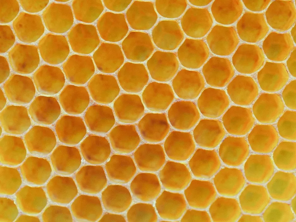 Miód z mleczkiem pszczelim: co to jest i jakie ma właściwości